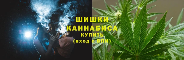 молекула духа Белокуриха
