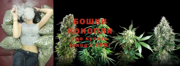 молекула духа Белокуриха
