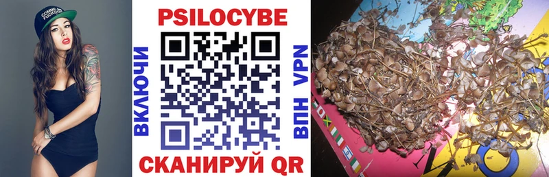 Псилоцибиновые грибы MAGIC MUSHROOMS Барнаул
